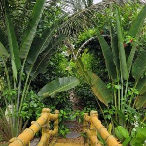 Fairy Mountain Retreat