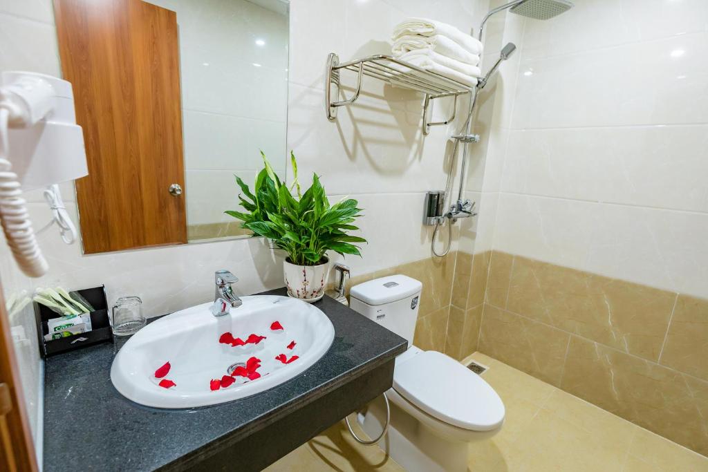 Ảnh dịch vụ