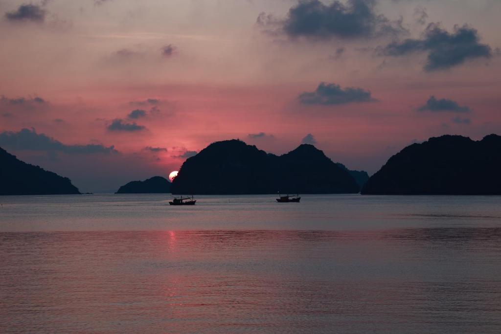 Ảnh dịch vụ